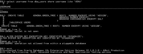 Oracle Database Encryption 12C 的图像结果