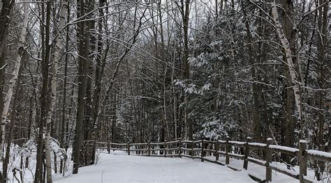 STOWE RECREATION PATH (2025) All You Need to Know BEFORE You Go (with ...