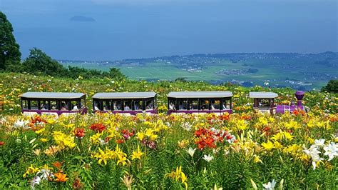 Takashima Tourism (2024): All You Need to Know Before You Go