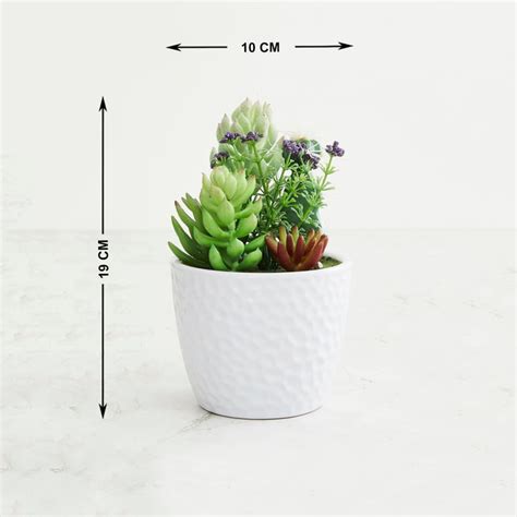 Buy Gardenia Artificial Succulent in Ceramic Pot from Home Centre at ...