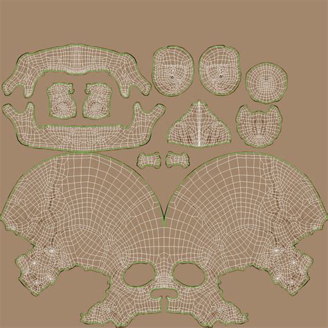 3D Model Male Human Skull Anatomy Model - TurboSquid 2384568