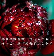 Image result for 央求