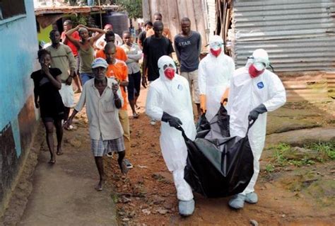 埃博拉病毒的症状和主要传播途径-搜狐大视野-搜狐新闻