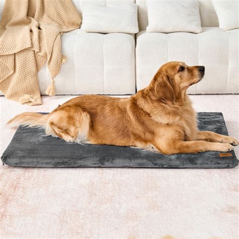 Ultimate Comfort: The XXL Memory Foam Dog Crate Pad You'll Love - Dog ...