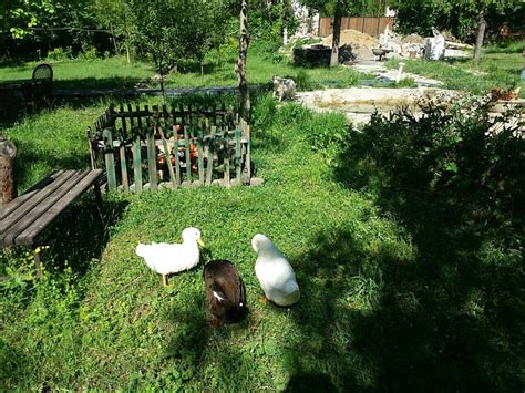 BAGLAR KONAK (Safranbolu) - Inn Reviews & Photos - Tripadvisor