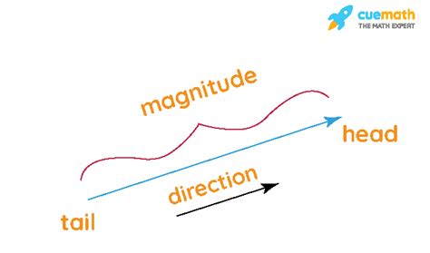 Image result for Vectors Math Def