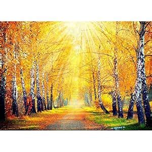 Pitaara Box Autumnal Trees In Sun Rays D3 | Canvas Painting for Bedroom ...