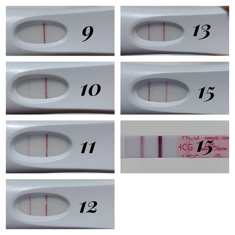 9 Dpo Pregnancy Test Progression Line Progression: First Response With
