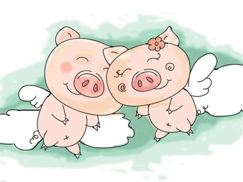 2019两只猪亲亲的图片,猪跟猪的网图,猪和猪图片_大山谷图库