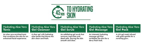 NATURES ESSENCE Gel Aloe Vera Facial Kit (Single Use), 20G : Amazon.in ...