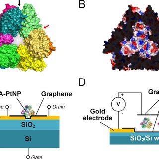 Image result for Liquid Phase AFM