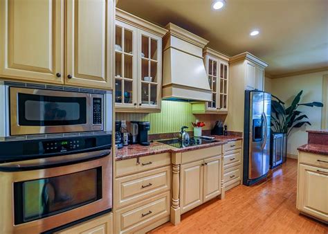 Searose in The Dunes