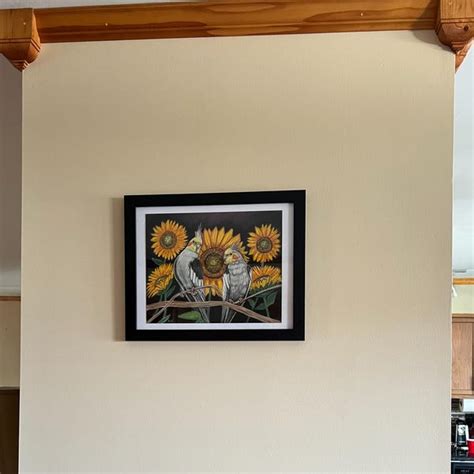 Image result for Fancy Conure