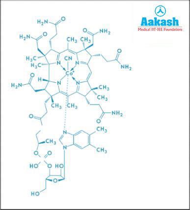 Vitamins: Roles, Types, Dietary Sources, Functions, Deficiency ...