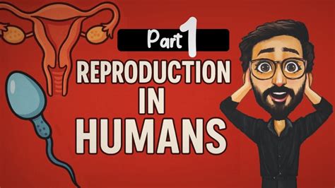 Image result for Human Reproduction YouTube