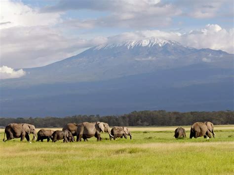 International Valentine’s Day inspirations for adventurous couples ...