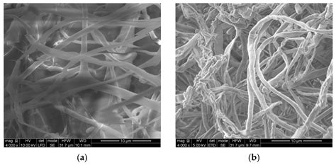 Microstructure-Driven Hygrothermal Behavior of Mycelium-Based ...