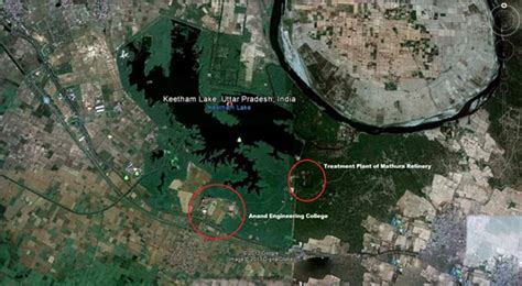 Hundreds Of Birds And Animals Burn To Death After Fire Breaks Out In ...