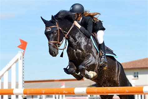 Olympic Riding & Equestrian Academy | LBB