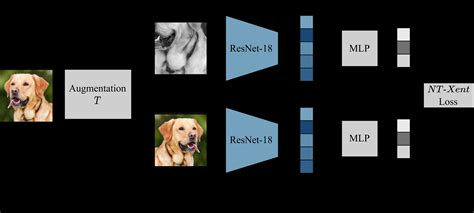 Image result for Contrastive Learning Tensorflow