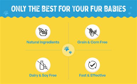 Buy Furlicks Calming Aid for Dogs & Cats | L-Theanine, Tryptophan ...