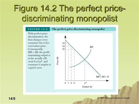 PPT - Maximizing Profit through Price Discrimination Strategies ...