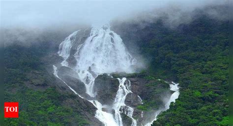 Dudhsagar: Goa: Visit to Dudhsagar during rains is illegal, dangerous ...