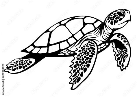 Swimming sea turtle. Ocean animal outline vector design. Stock Vector ...