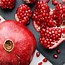 Image result for Pomegranate Tree Planting
