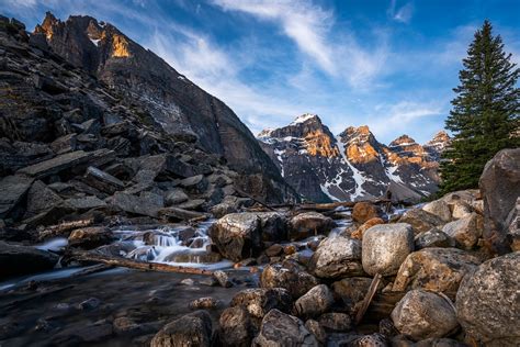 Unique Unity Ceremony 的图像结果