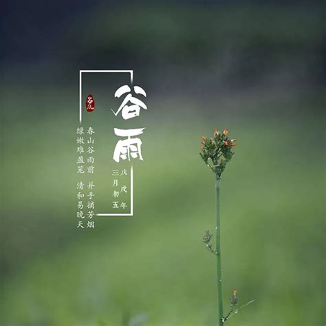 【二十四节气话农事】谷雨——雨生百谷，农事渐忙_腾讯新闻