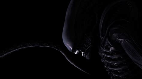 Xenomorph : r/SFM