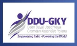Udichi services