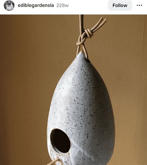 16 Unique Bird Feeder Ideas: Get Ready for a Flock of Feathered Friends