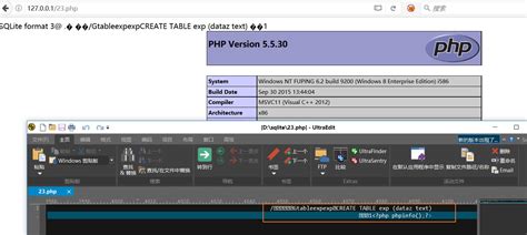 SQLite Injection 的图像结果