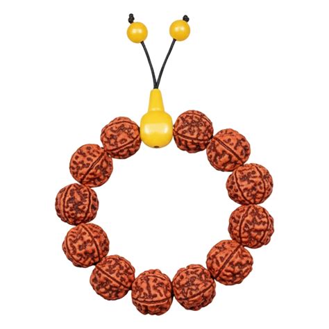 Original 5 Mukhi Big Rudraksha Bracelet – Dharmsaar