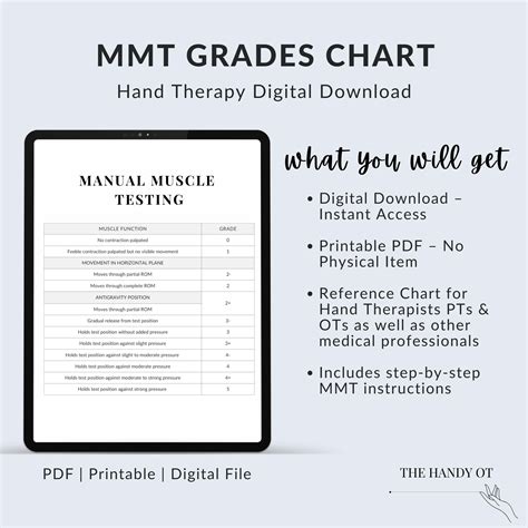 Manual Muscle Testing (MMT) Chart | Occupational & Physical Therapy ...