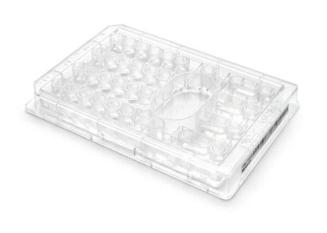 CellASIC ONIX plate diploid yeast cells (4 chamber, 5-7 micron) | Y04E ...