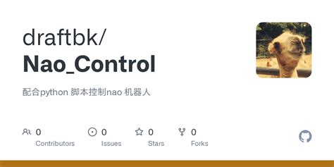 Python Nao Tutorial 的图像结果