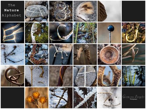 Alphabet photography – How to create your own — The School of Photography - Courses, Tutorials ...