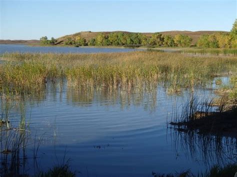 Big Alkali Lake State Wildlife Management Area (Valentine) - 2020 What ...