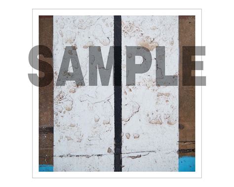 Image result for Paris-Roubaix Finish