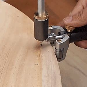 Dual-Purpose Linear – Retailbee