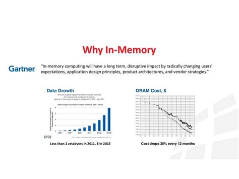 In Memory Database Examples 的图像结果