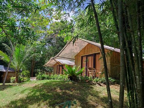 D'BAMBOO KAMP - DESA WISATA EKANG (Ekang Anculai) - Cottage Reviews ...