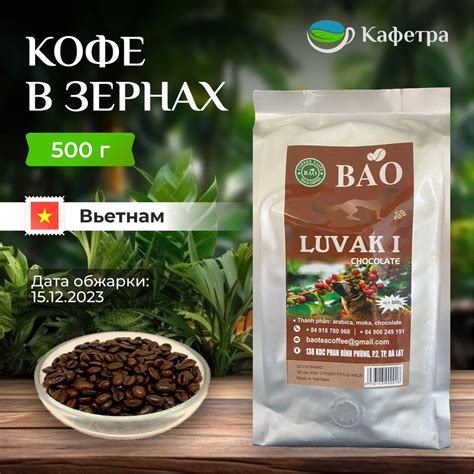 Вьетнамский кофе в зернах Шоколадный Лювак Ай (Chocolate Luvak I) - BAO ...