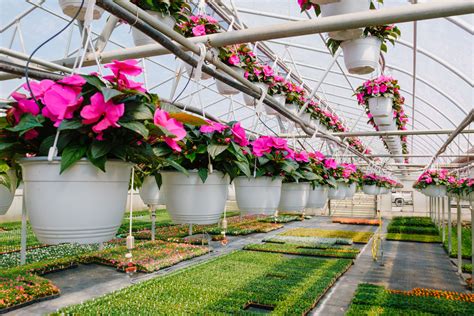 F&W Schmitt Family Farm - Melville, Long Island NY Completed