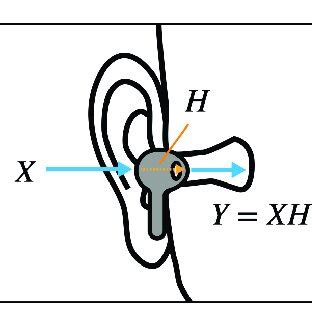 Image result for In-Ear Dynamic Systems Examples