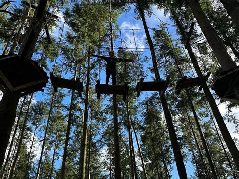 THE TUNNEL TREE TOPS HIGH ROPES (2026) All You Need to Know BEFORE You ...
