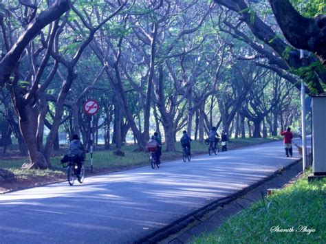 Indian Institute of Science Bangalore